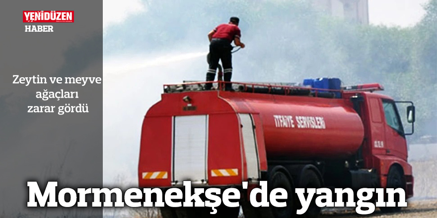 Mormenekşe'de yangın