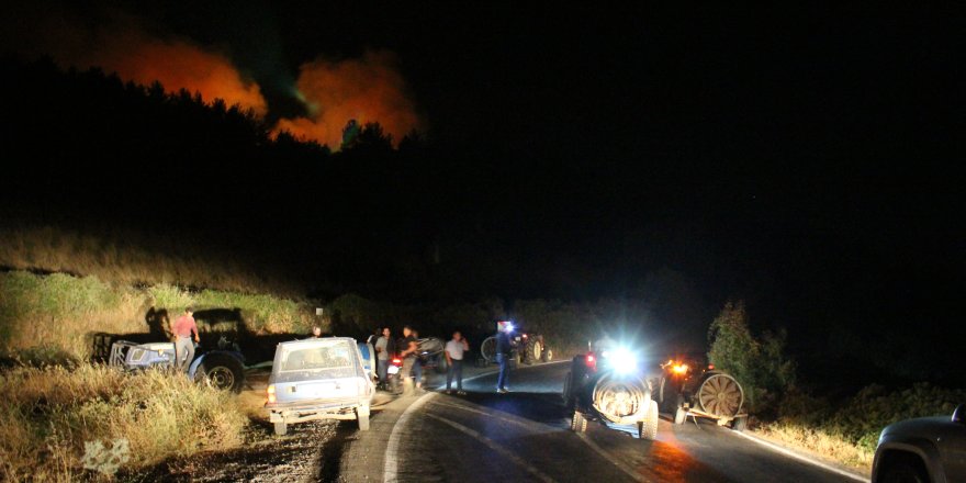 Türkiye’nin çeşitli bölgelerinde yangınlarla mücadele sürüyor