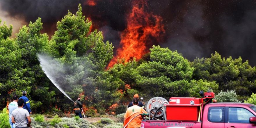 Yunanistan'da son 4 günde 242 orman yangını çıktı