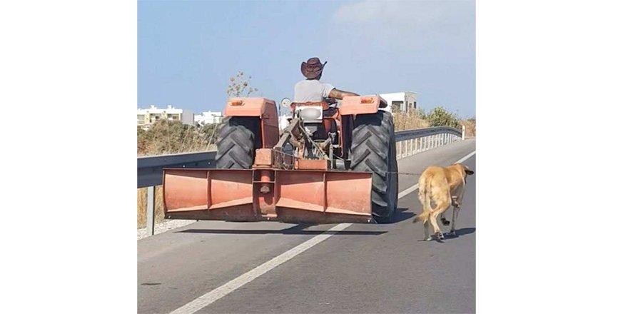 Köpeği traktörle çeken sürücüye 7 bin 680 TL para cezası