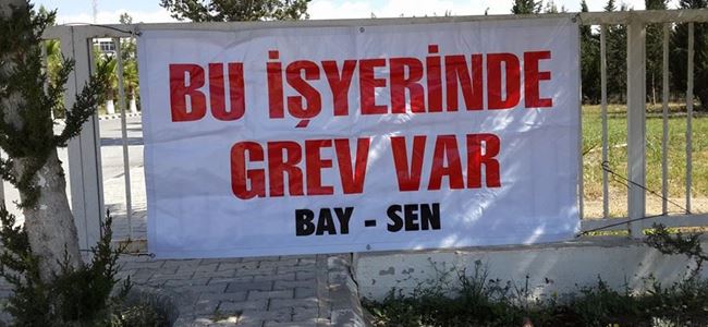 BAY-SEN GREVDE