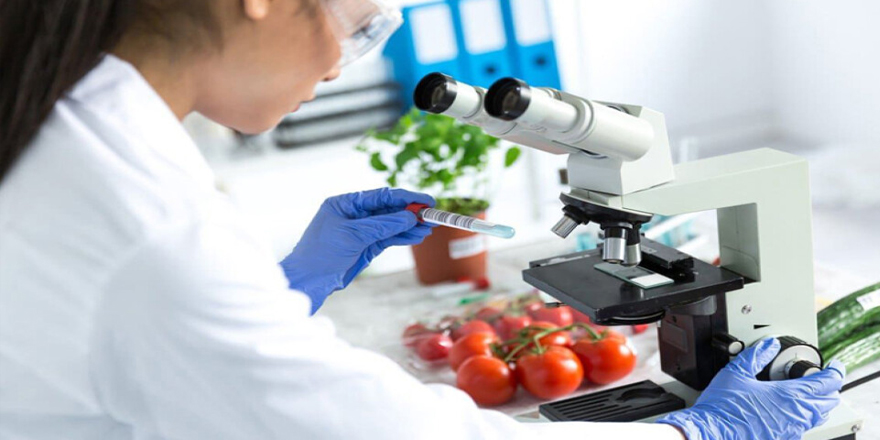 Haftalık gıda denetim sonuçları açıklandı