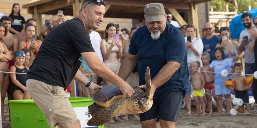 Meritta ile 170 deniz kaplumbağası mavi sulara uğurlandı
