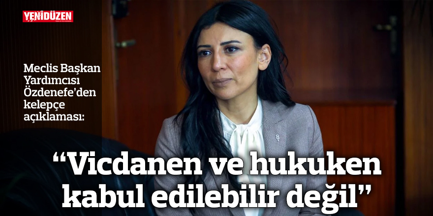 “Vicdanen ve hukuken kabul edilebilir değil”