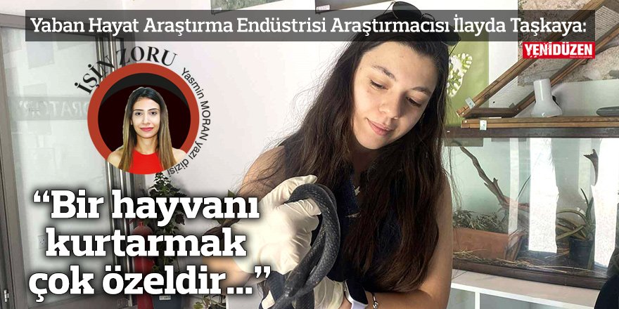 “Bir hayvanı kurtarmak çok özeldir ama tekrar yaralanmamasını sağlamak kutsaldır”