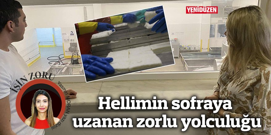Hellimin sofraya uzanan zorlu yolculuğu