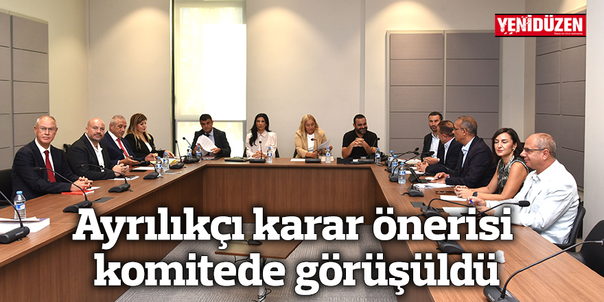 Ayrılıkçı karar önerisi komitede görüşüldü