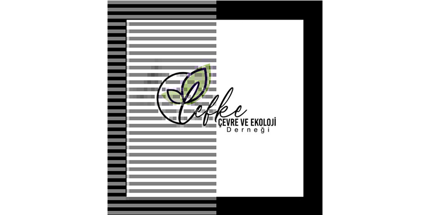 Lefke Çevre ve Ekoloji Derneği Başkanı Tamer Dayıoğlu oldu