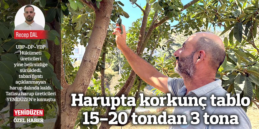 Harupta korkunç tablo; 15-20 tondan 3 tona