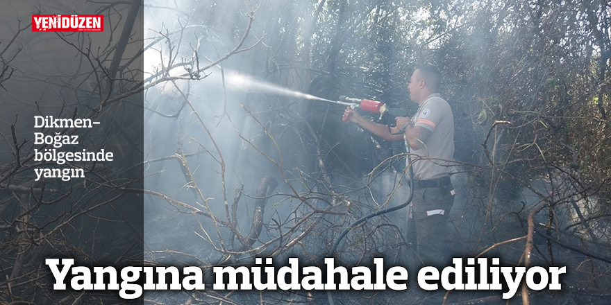 Dikmen-Boğaz bölgesinde yangın