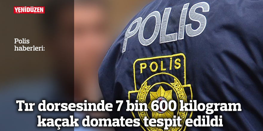 Tır dorsesinde 7 bin 600 kilogram kaçak domates tespit edildi