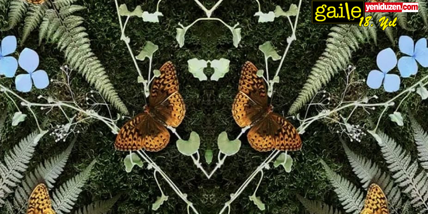 Gaile 522: Editörün Notu