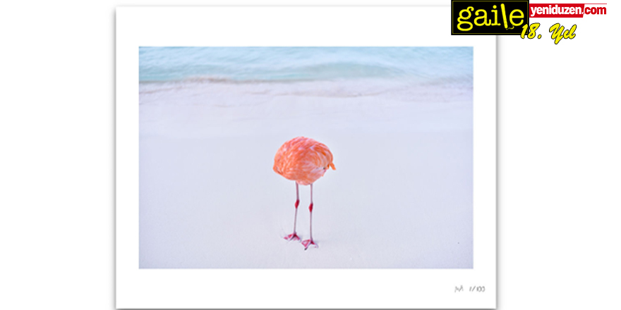 Resim, Fotoğraf, Yapay Zeka: Sanatın Teknolojiyle İlgili Pek Değişmeyen Kaygıları