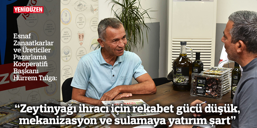 Hürrem Tulga: “Zeytinyağı ihracı için rekabet gücü düşük, mekanizasyon ve sulamaya yatırım şart”