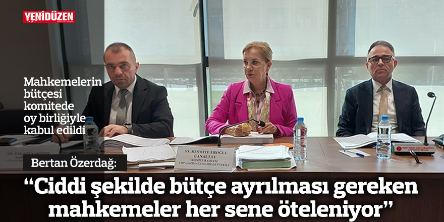 Özerdağ: “Ciddi şekilde bütçe ayrılması gereken mahkemeler her sene öteleniyor”