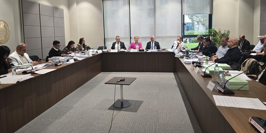 Serbest Liman ve Bölge Müdürlüğü ile Rekabet Kurulu bütçeleri Komite'de onaylandı