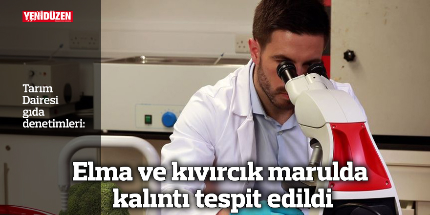 Elma ve kıvırcık marulda kalıntı tespit edildi