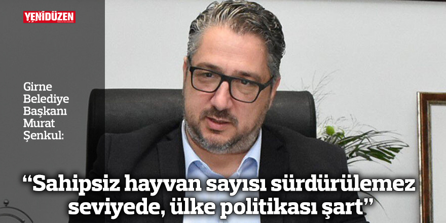 Şenkul: “Sahipsiz hayvan sayısı sürdürülemez seviyede, ülke politikası şart”