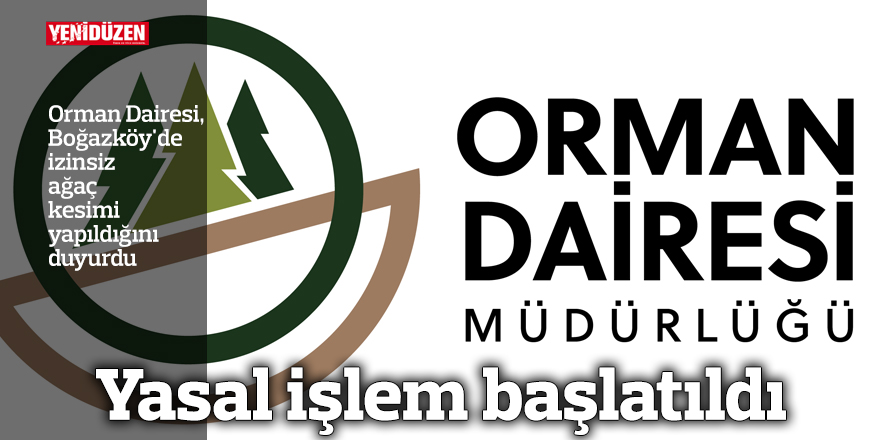 Boğazköy'de izinsiz ağaç kesimi!