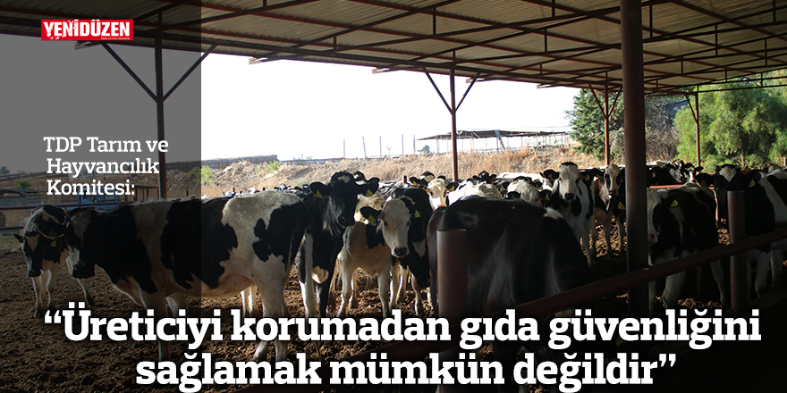 “Üreticiyi korumadan gıda güvenliğini sağlamak mümkün değildir”