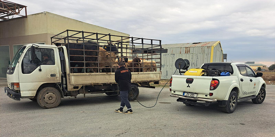 LTB Boğaziçi köyünde tespit edilen şap hastalığına karşı tüm tedbirleri hayata geçiriyor