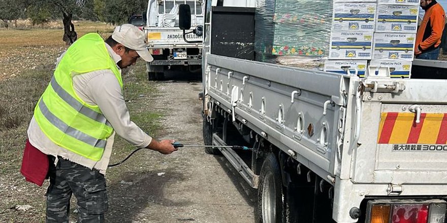 Mesarya Belediyesi’nden şap hastalığına karşı kapsamlı tedbirler