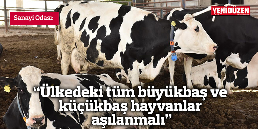 “Ülkedeki tüm büyükbaş ve küçükbaş hayvanlar aşılanmalı”