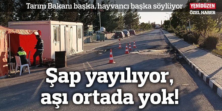 Şap yayılıyor, aşı ortada yok!