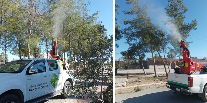 Mesarya Belediyesi, çam kese böceğine karşı mücadeleyi sürdürüyor