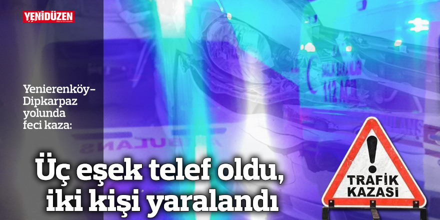 Üç eşek telef oldu, iki kişi yaralandı