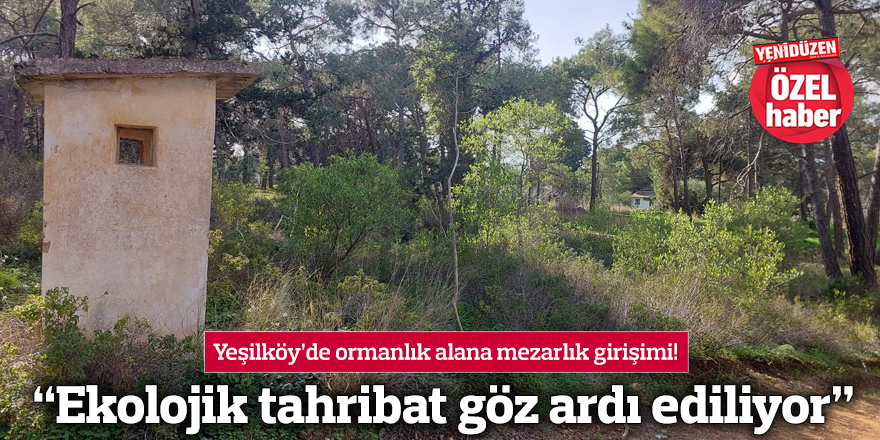 Yeşilköy’de ormanlık alana mezarlık girişimi!