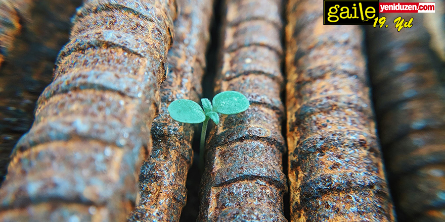 "Gençler apolitik mi yoksa farklı mı politize oluyorlar?"