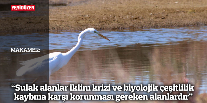 MAKAMER: "Sulak alanlar iklim krizi ve biyolojik çeşitlilik kaybına karşı korunması gereken alanlardır"