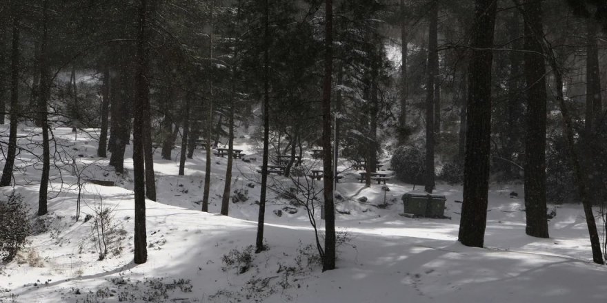 Kıbrıs yapımı belgesel, Atina film festivalinde "En İyi Görsel Efekt" ödülünü kazandı