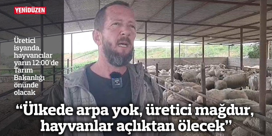 “Ülkede arpa yok, üretici mağdur, hayvanlar açlıktan ölecek”