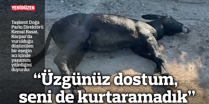 “Üzgünüz dostum, seni de kurtaramadık”