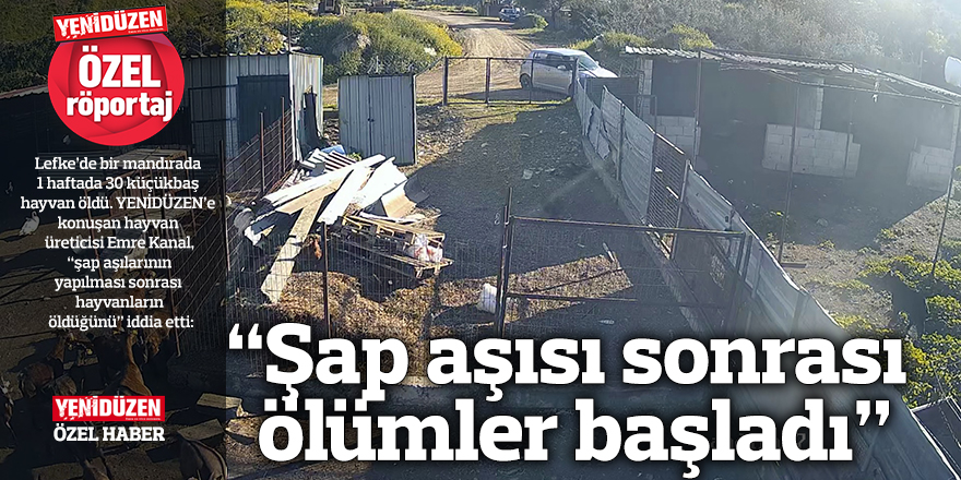 “Şap aşısı sonrası  ölümler başladı”