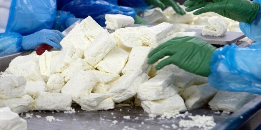 “Yerli üretimin korunması için ithal süt ve süt ürünlerine acil önlem alınmalı”