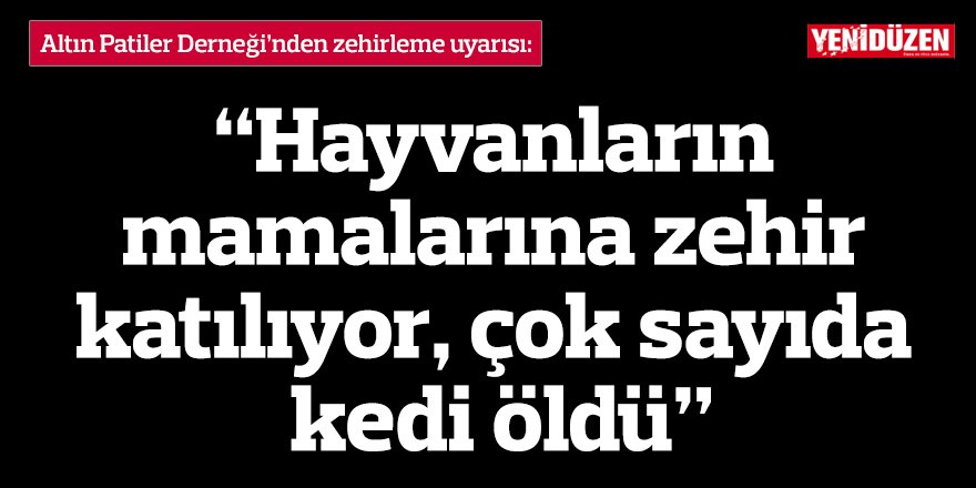 “Hayvanların mamalarına zehir katılıyor, çok sayıda kedi öldü”