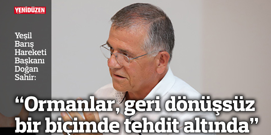 “Ormanlar, geri dönüşsüz bir biçimde tehdit altında”