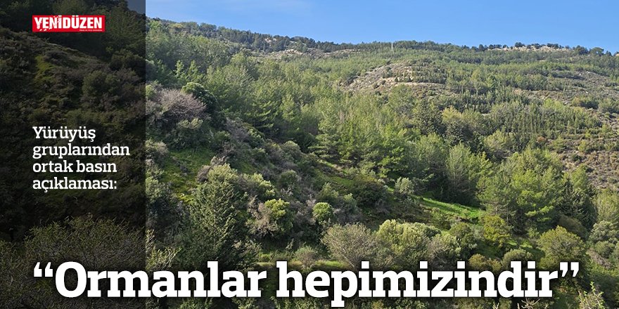 “Ormanlar hepimizindir”