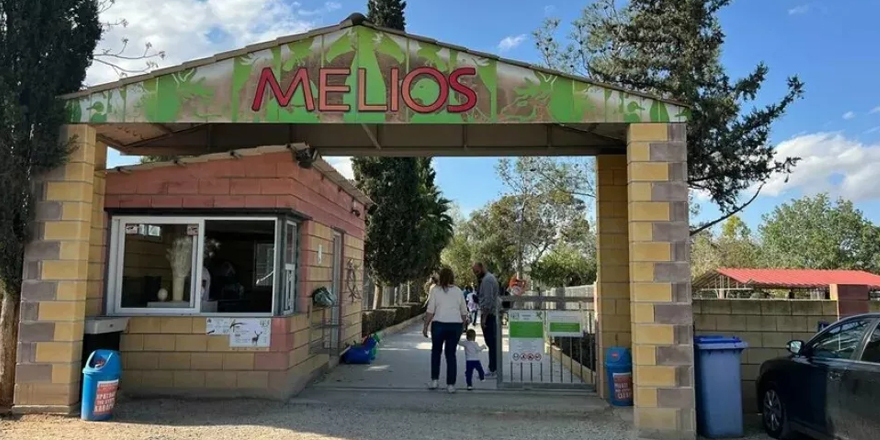 Melios hayvanat bahçesi mahkeme emriyle kapatıldı