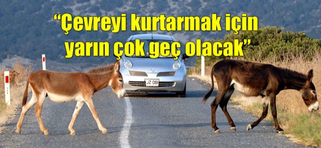 Bugün “22 Mayıs Dünya Biyolojik Çeşitlilik” günü