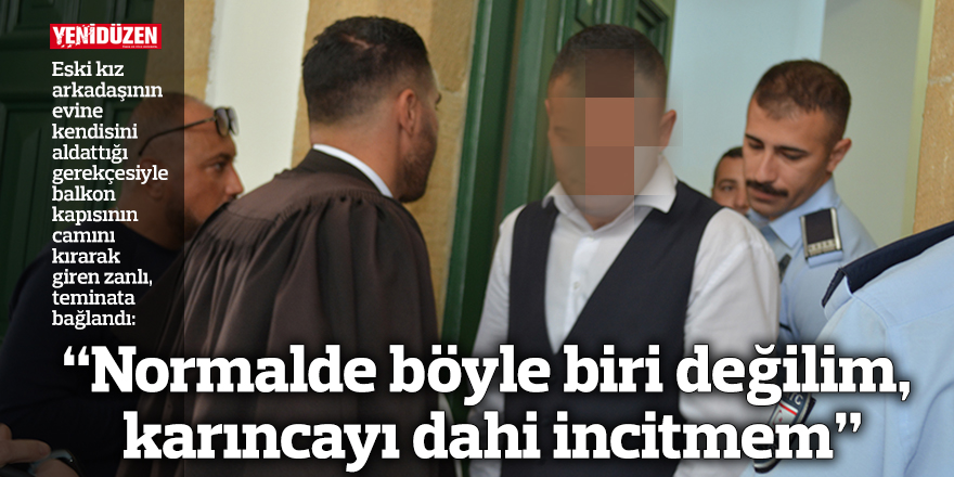 “Normalde böyle biri değilim, karıncayı dahi incitmem”
