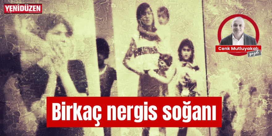 Birkaç nergis soğanı