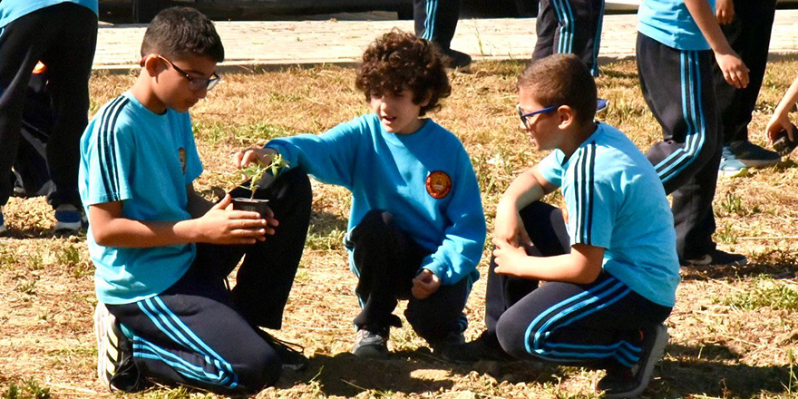 AB Bilgi Merkezi, Lefkoşa Dr. Suat Günsel İlkokulu’nda ağaç dikim etkinliği düzenledi