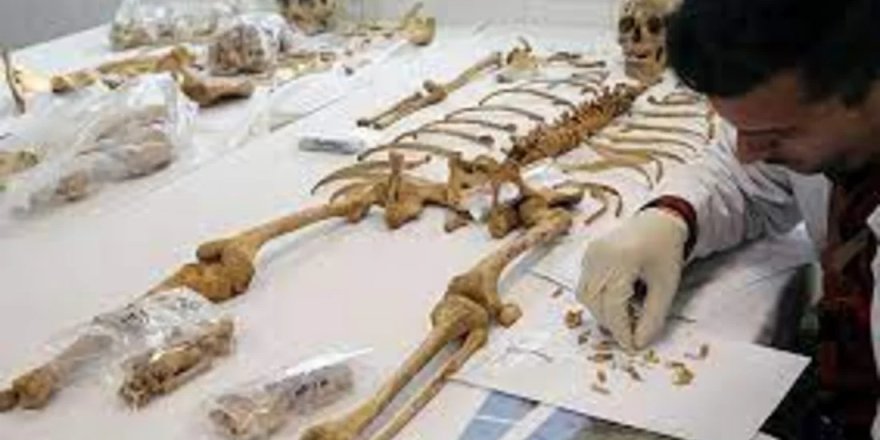 Güneyde, kayıp şahısların kimlik tespiti için 1 milyon euroluk fon onaylandı