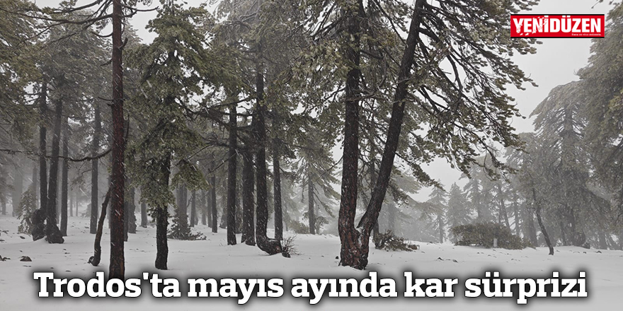 Trodos'ta mayıs ayında kar sürprizi