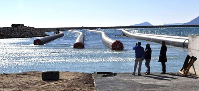 Tarım strateji planı ve master planı hazırlanacak