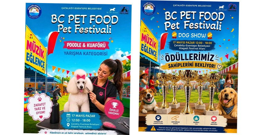 Alagadi’de evcil hayvanları için festival düzenleniyor